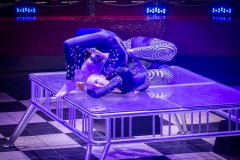 CircusArtsGala-41