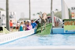 BaysidePetResortPoloClub-9