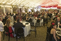 SelbyGardensOrchidBall-136